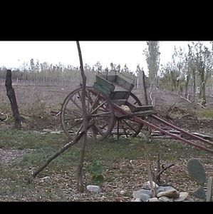 Meet your Posher, Francisco